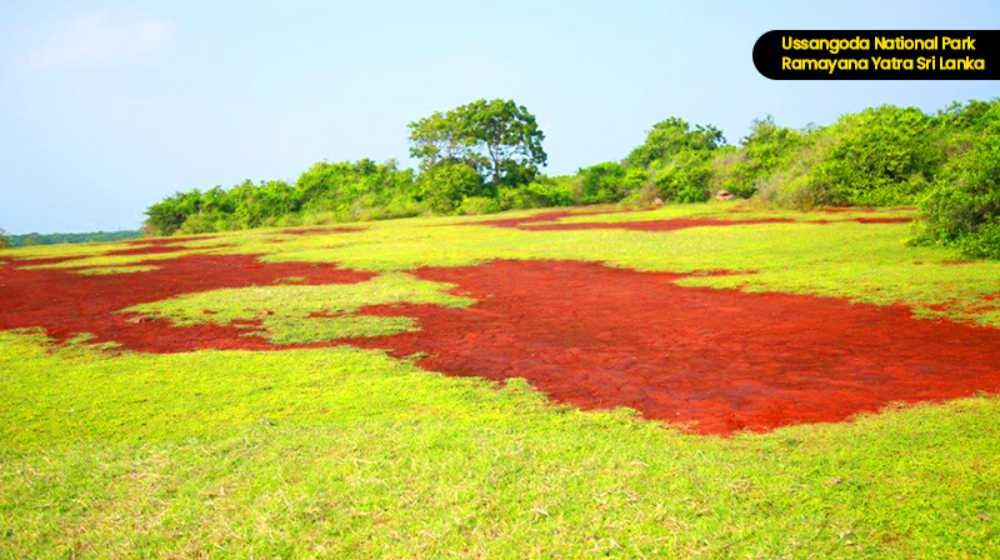 Ussangoda Plateau
